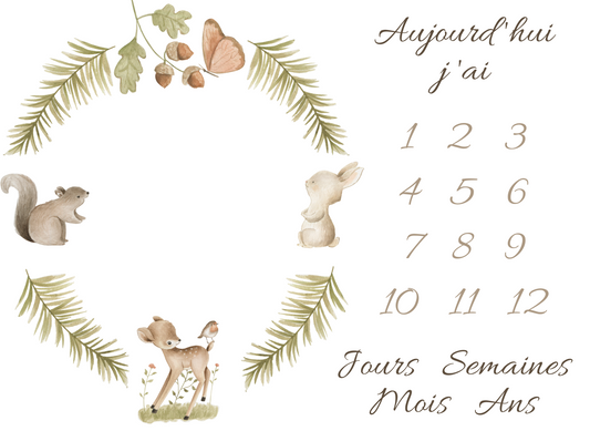 Tapis étape photo thème dans les bois